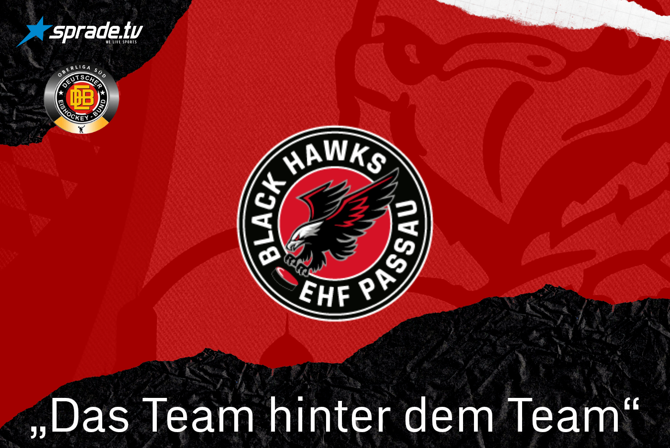 DasTEAMhinterdem TEAM