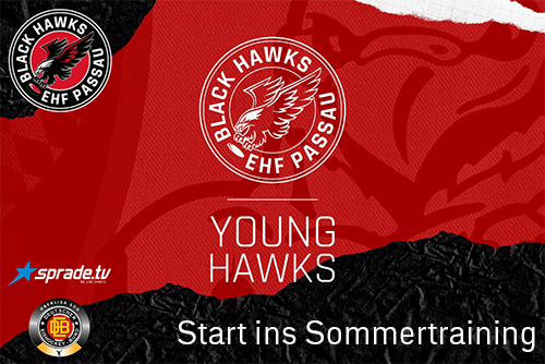 Kadernews Young Hawks Klein