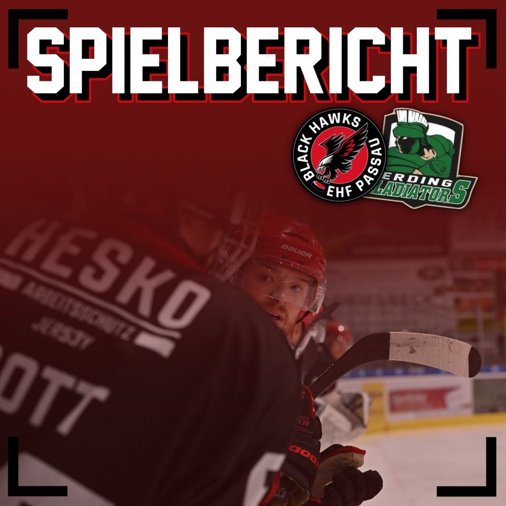 Vs Erding